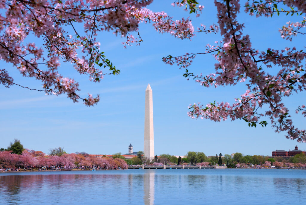 The Next AI Risk Isn’t Demand. It Is Washington, D.C. The Next AI Risk Isn’t Demand. It Is Washington, D.C.