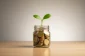 Glass jar of coins with a small green sprout on a light wood surface against a soft neutral background.
