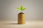 Green sapling growing from a neat stack of blank gold coins on a soft neutral background, symbolizing sustainable, long-term impact investing.