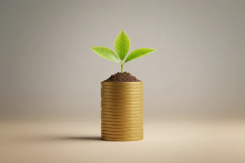 Green sapling growing from a neat stack of blank gold coins on a soft neutral background, symbolizing sustainable, long-term impact investing.
