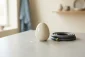 Ceramic nest egg beside a coiled repair hose, symbolizing an unexpected home maintenance expense in retirement.