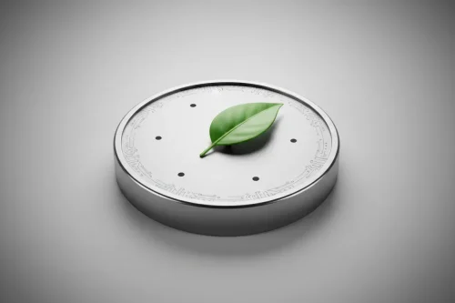 Brushed-metal compass with a green leaf needle on soft gray, symbolizing values-aligned automated investing.